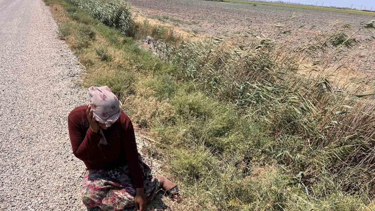 Tek gelir kaynağı süt olan kadının hayvanları peş peşe telef oldu