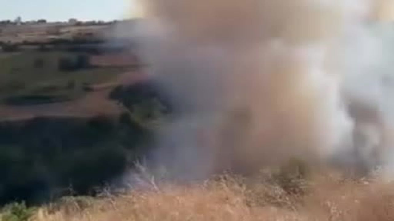 Tekirdağ'da Süleymanpaşa'daki ağaçlık yangını 80 dekarı etkiledi