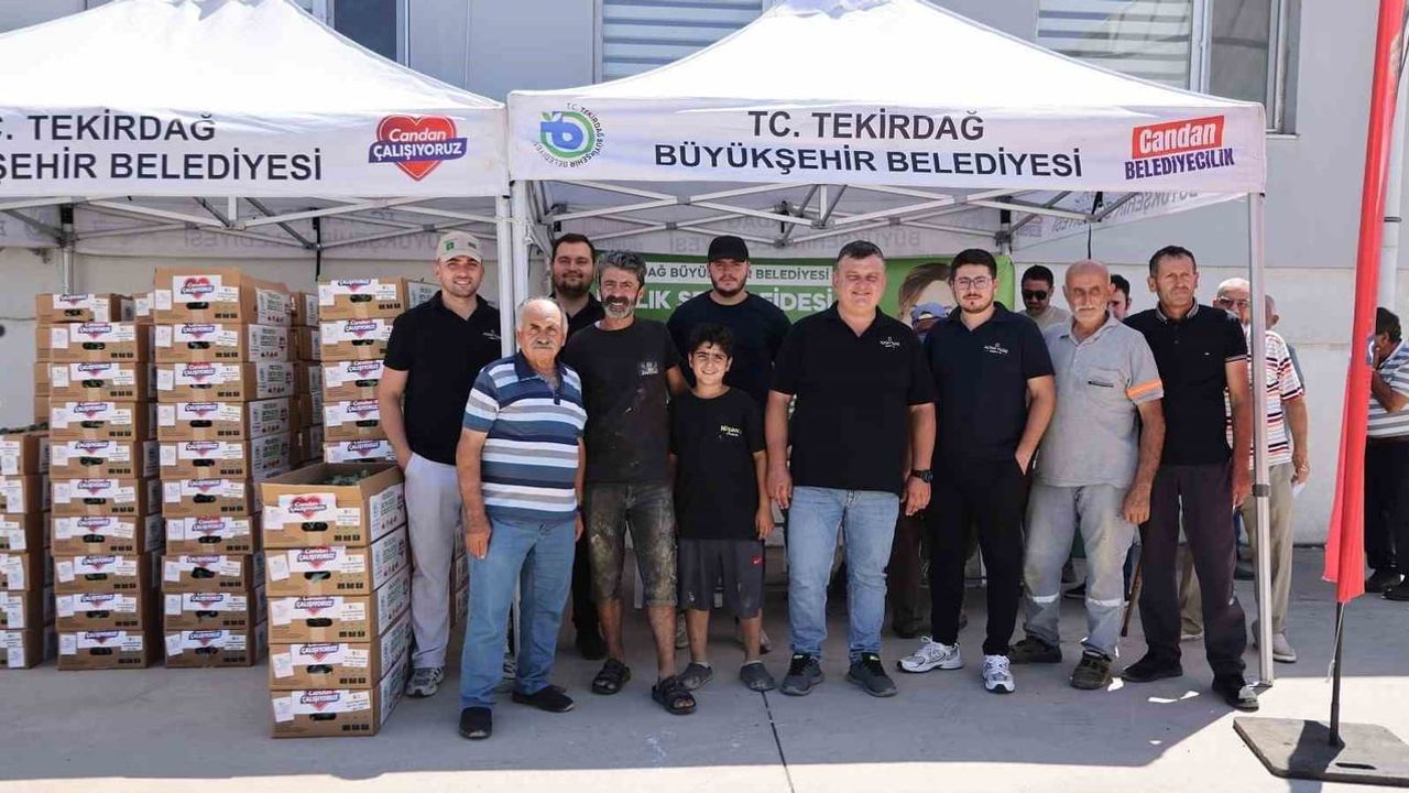 Tekirdağ’da üreticiye 104 bin 208 kışlık fide desteği