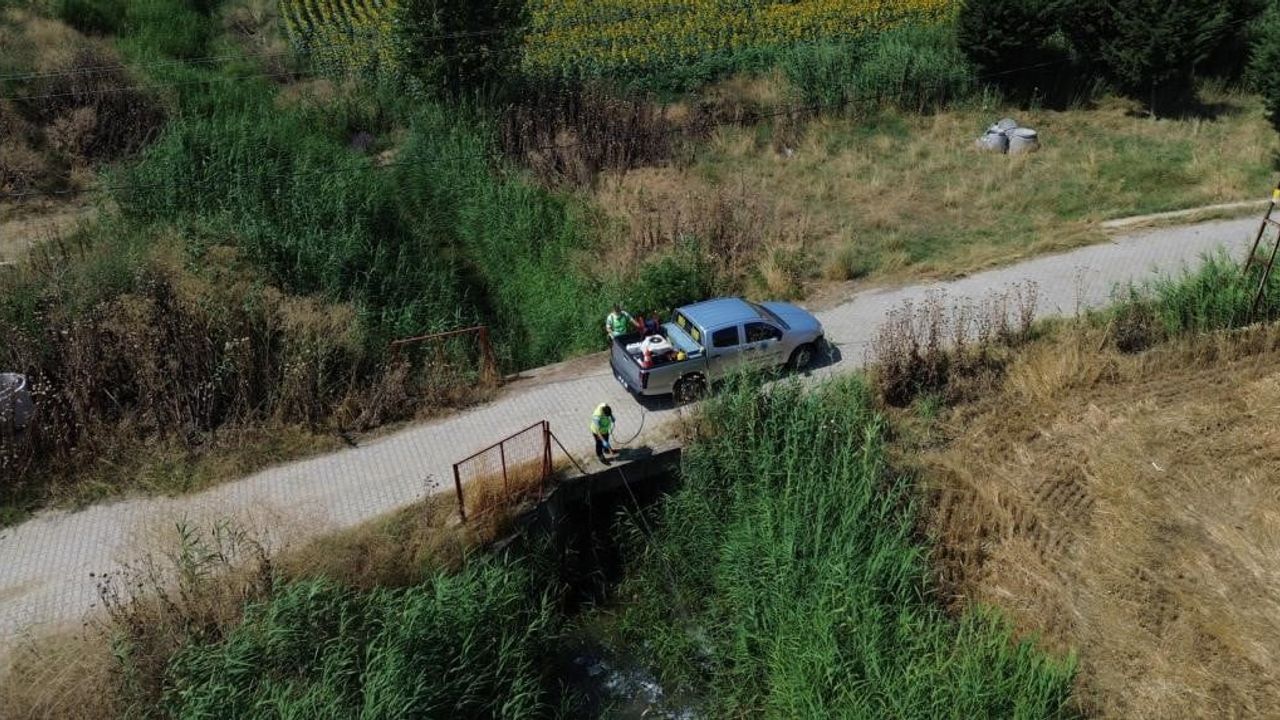 Tekirdağ genelinde haşere ve vektörlere karşı kapsamlı çalışma sürüyor