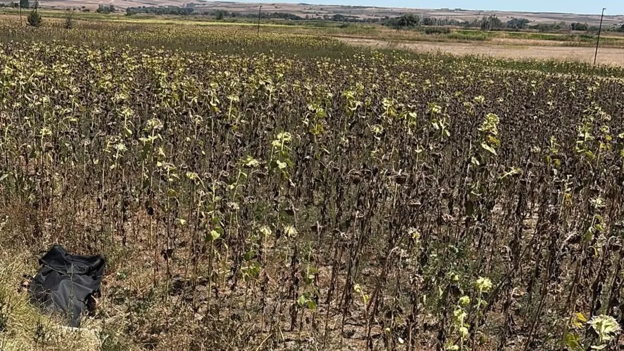 Tekirdağ Hayrabolu'da motosiklet devrildi, sürücü yaşamını yitirdi