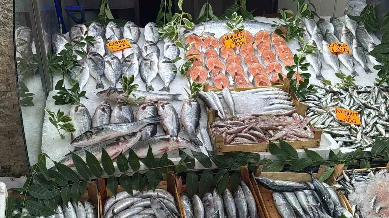 Tezgahlarda palamut bolluğu: lezzet uygun fiyata dönüyor