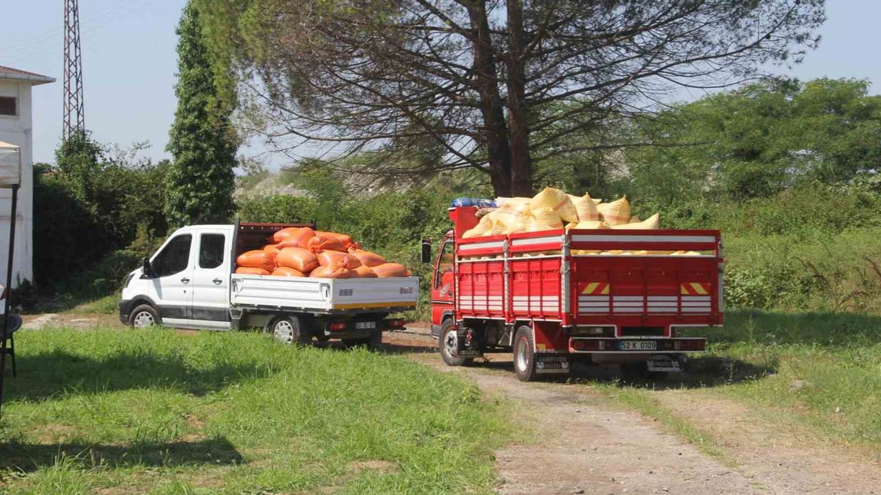 TMO'dan net karar: geçen yılın fındıkları bu sezon alınmayacak