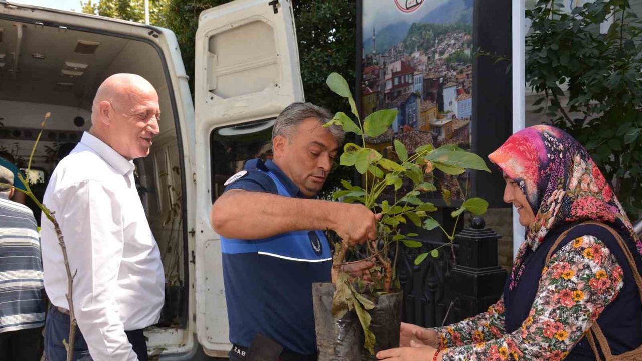 Toprağa atılan imza: Babadağ'da ceviz fidanlarıyla tarıma yatırım