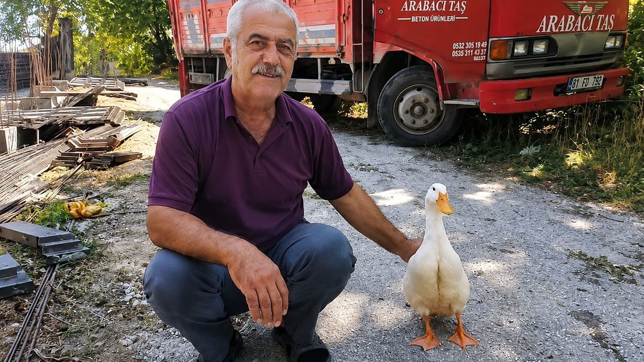 Torunların hevesi geçince Yaşar ördekle bağ kurdu