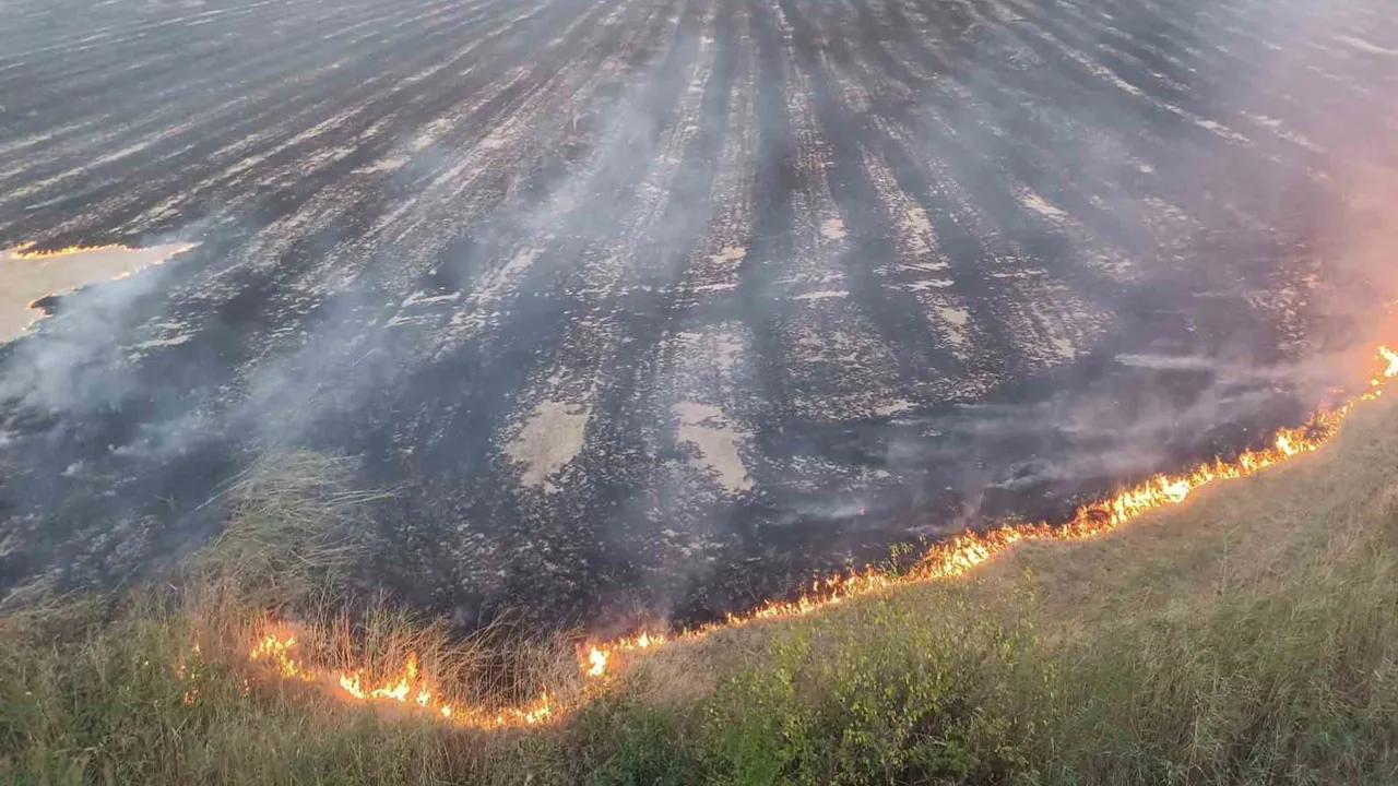 Tosya'da örtü yangını 400 dönümlük biçili tarlada zarara yol açtı