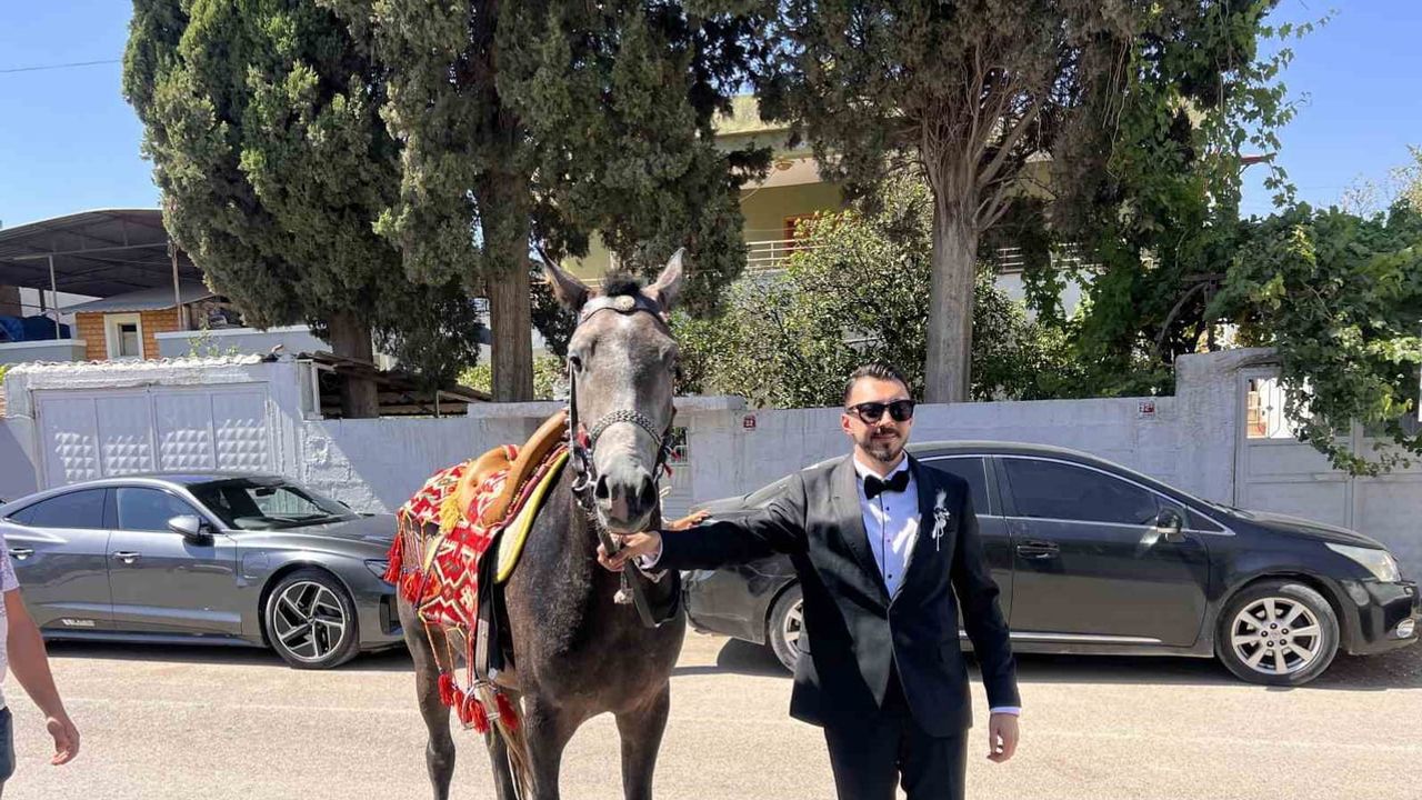 Trafik atlı gelin alma geleneğini yarıda bıraktı