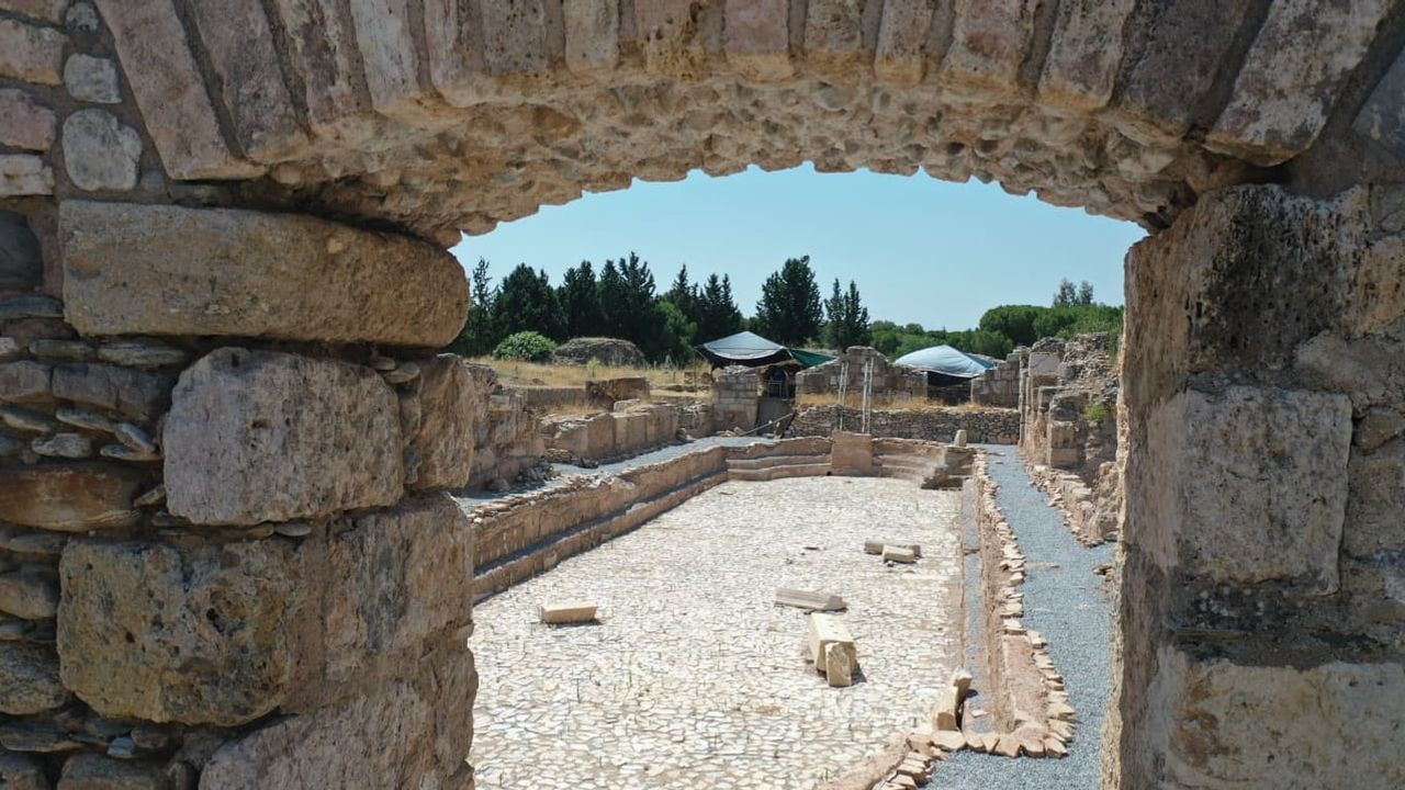 Tralleis'te gymnasium frigidariumunda 2 bin yıllık 300 kişilik havuz gün yüzüne çıktı