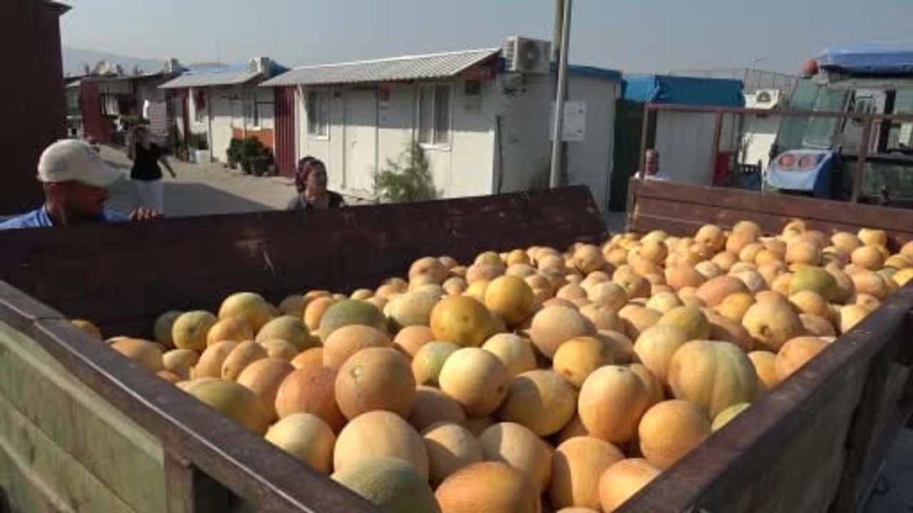 Tüccarın 5 TL teklifini reddetti, 50 ton kavunu depremzedelere ücretsiz dağıtıyor