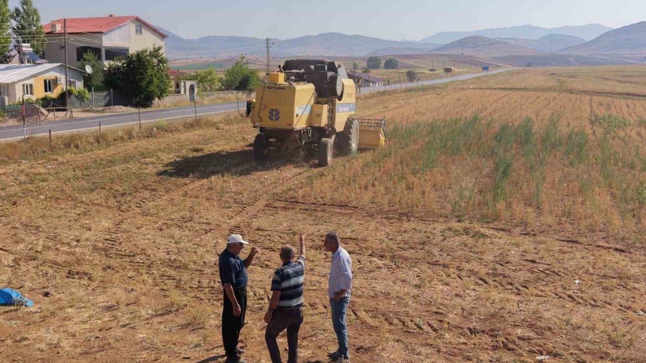Tufanbeyli'de nohut hasadı tarlalara bereket getirdi