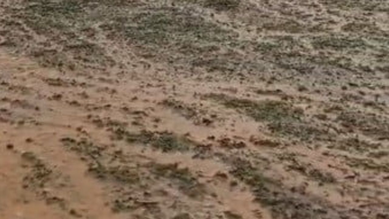 Tunceli’de Karagöz yaylasında sel üreticileri hazırlıksız yakaladı