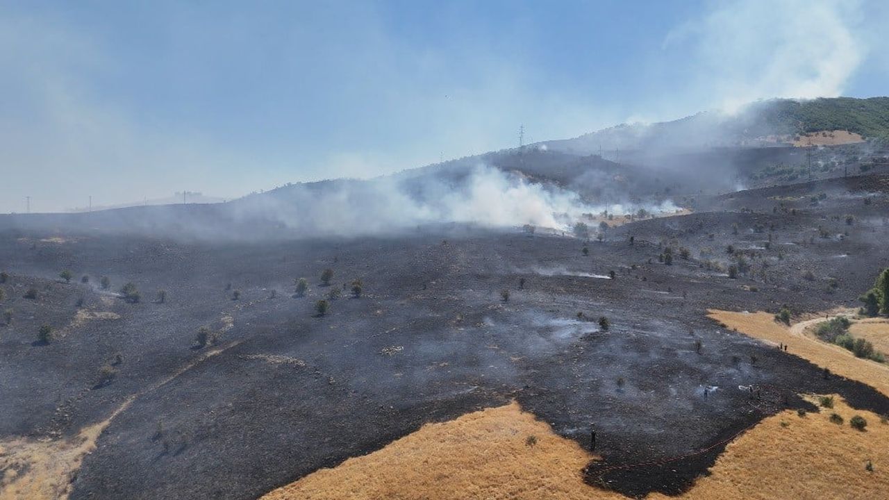 Tunceli'de Karyemez mevkiindeki orman yangını yerleşimlere ulaşmadan söndürüldü