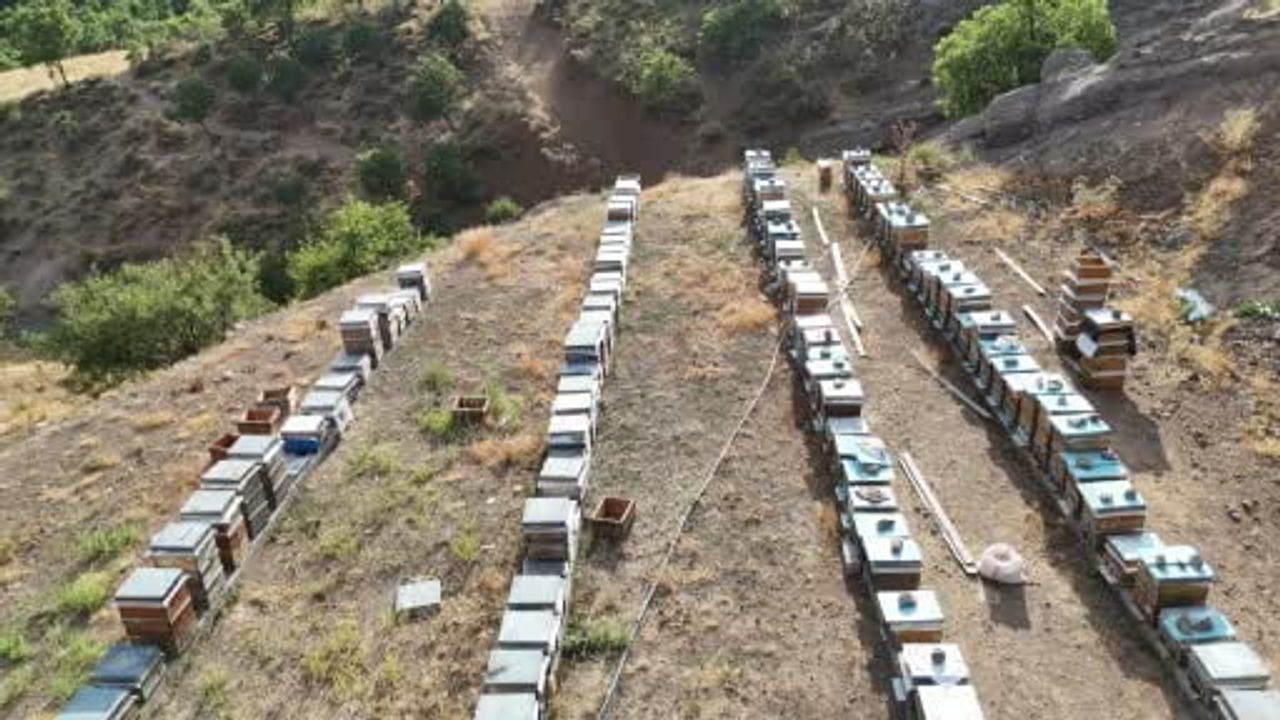 Tunceli'nin bakir yaylalarında başlayan bal hasadı sofralara ulaşıyor