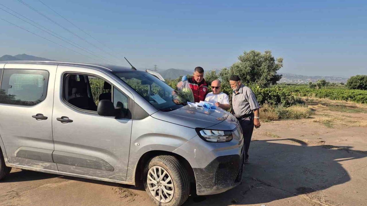Turgutlu bağlarında hasat öncesi pestisit denetimi için numune alımı