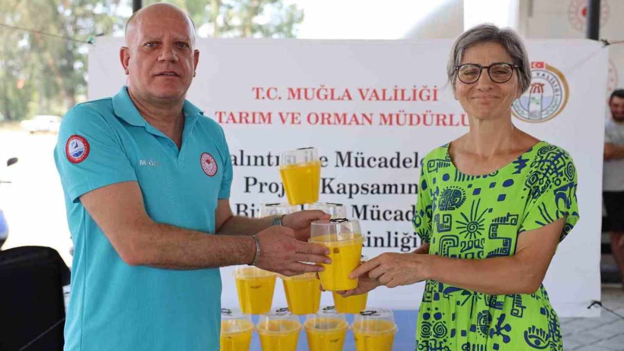 Turunçgil üretiminde biyoteknik adım: 8 bin tuzak dağıtıldı
