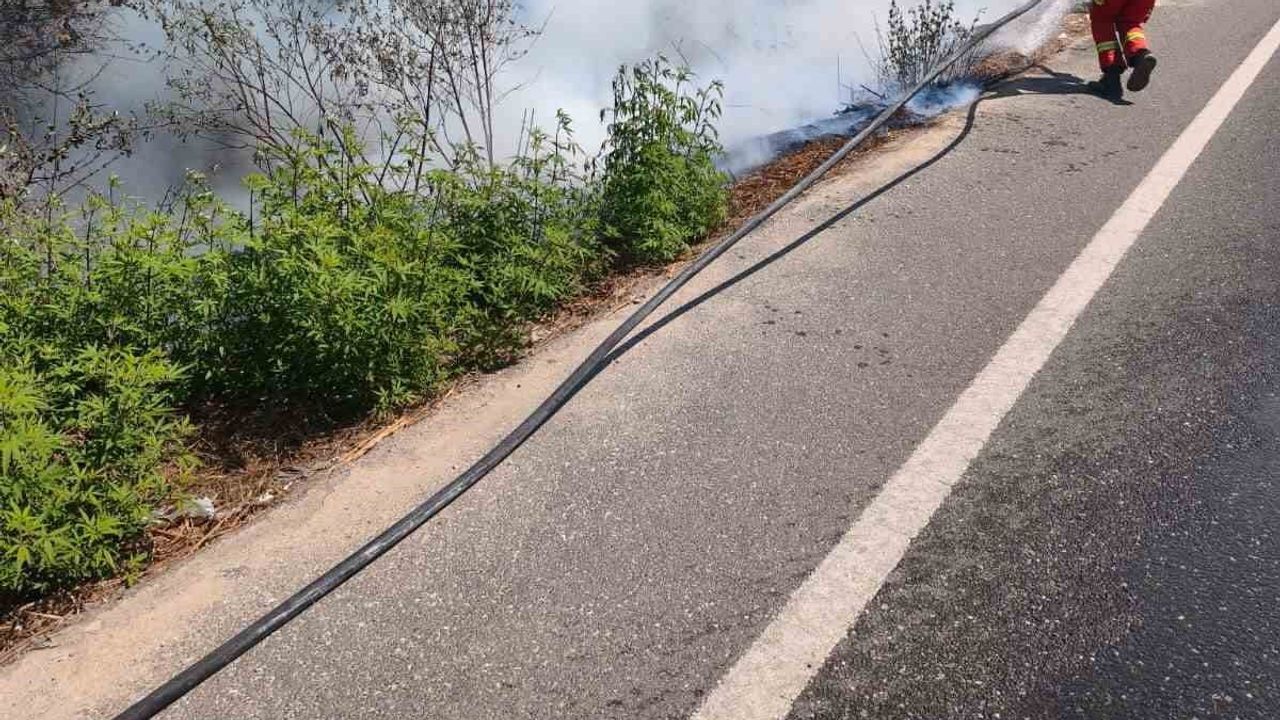 Ula'da yol kenarında başlayan kuru ot yangını itfaiyenin müdahalesiyle kontrol altına alındı