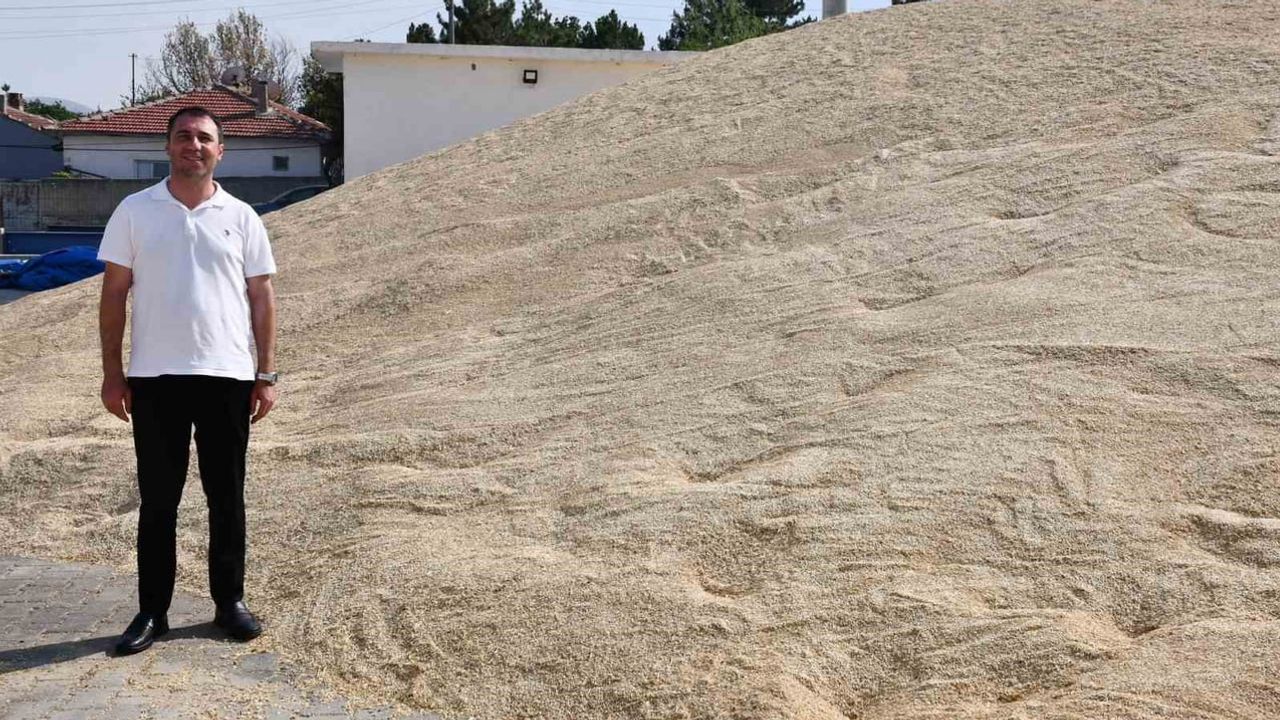 Üreten belediyecilik: Beylikova'da 755 ton hububatla bütçeye 11 milyon lira katkı