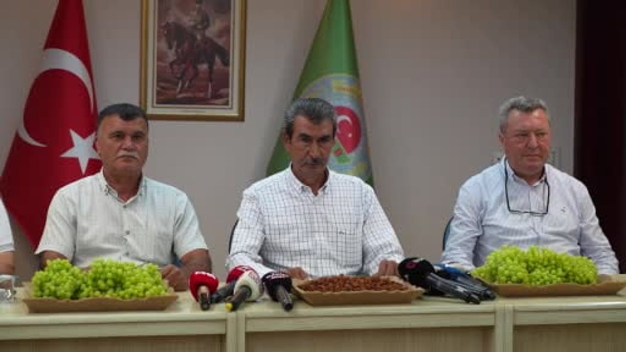 Üretici güveni için taban fiyat çağrısı: Manisa'da çekirdeksiz kuru üzüm hasadı
