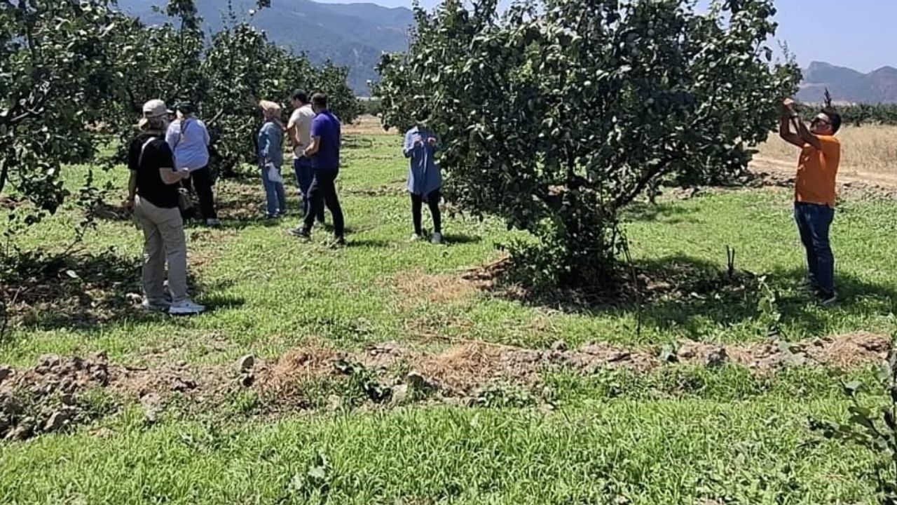 Üretimi korumaya yönelik saha taraması: Osmaneli'nde bitki sağlığı çalışması