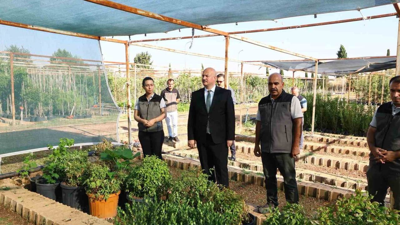 Valinin fidanlıklara yatırımı: geleceğe kök salan adımlar