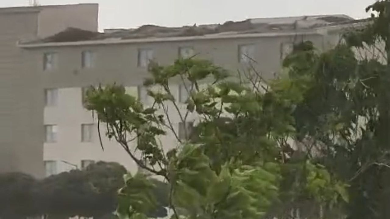 Van'da aniden başlayan fırtına çatılara ve ağaçlara zarar verdi