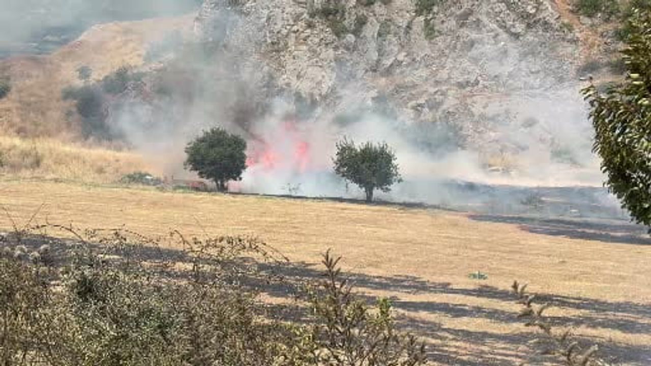Vatandaş ihbarı ve ekip koordinasyonu sayesinde Tokat'taki otluk yangını kontrol altına alındı