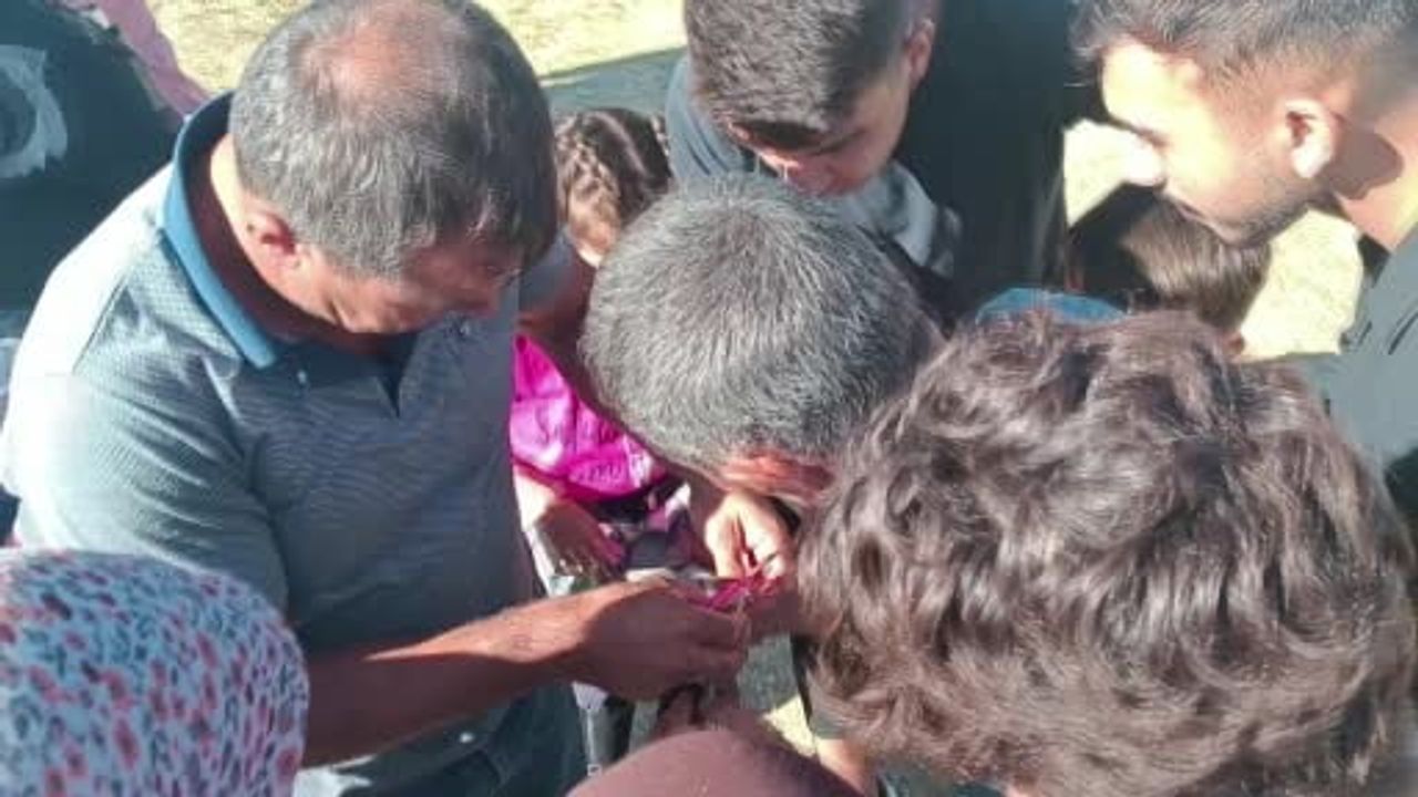 Vatandaşların dikkati sayesinde Sarıpınar'da şahin tuzağına bağlanan güvercin kurtarıldı