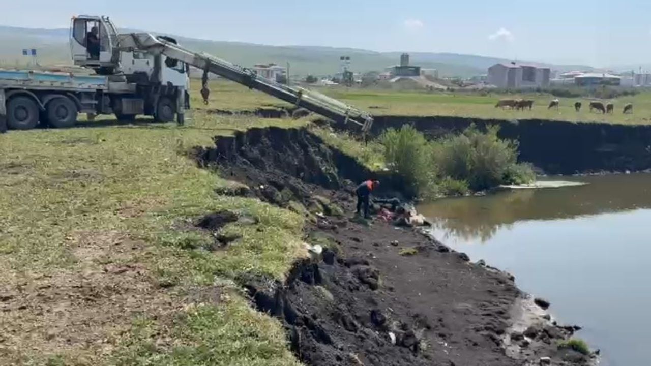 Vinç yardımıyla kurtarılan at Kura Nehri kıyısındaki bataklıktan çıkarıldı