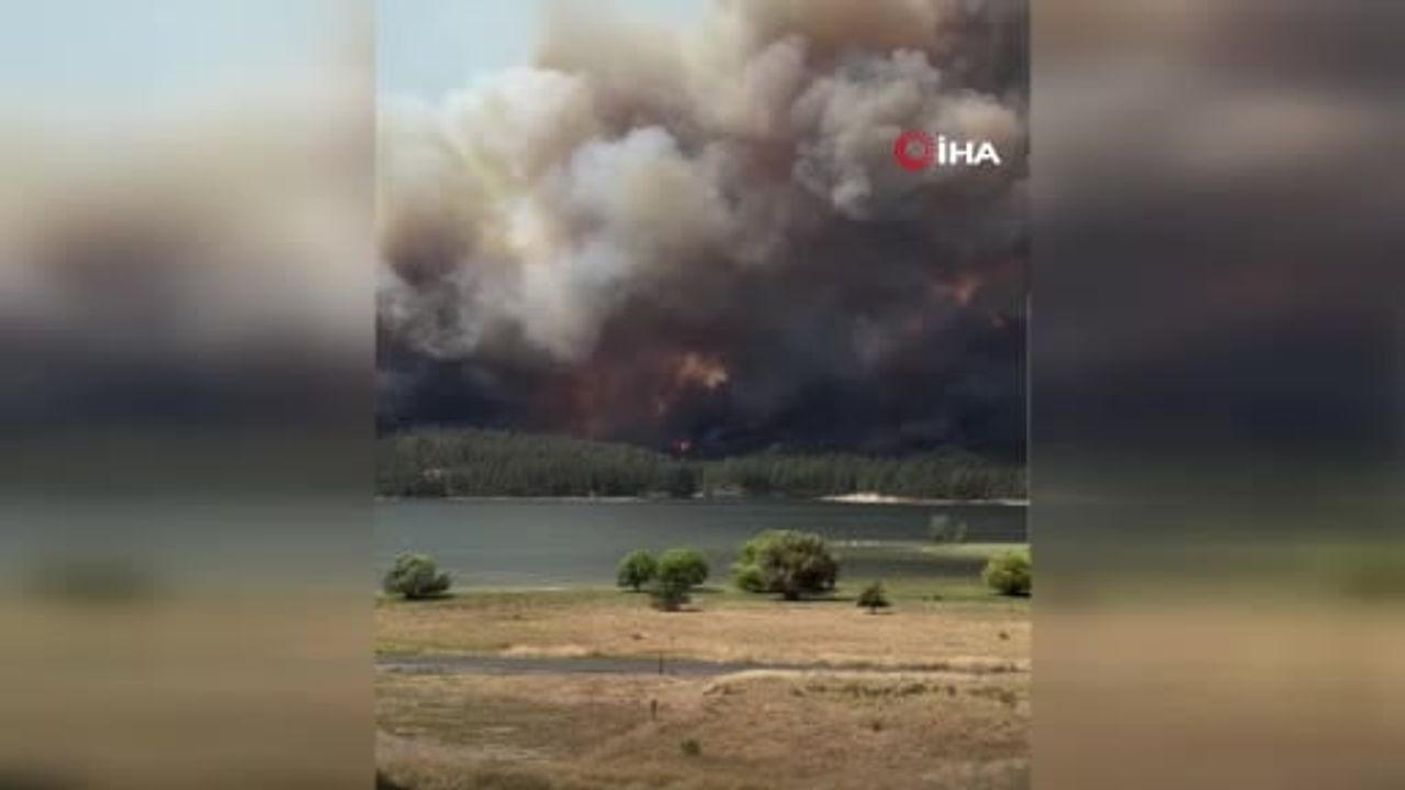 Washington'da hızla yayılan orman yangını 2 bin 300 dönümü küle çevirdi