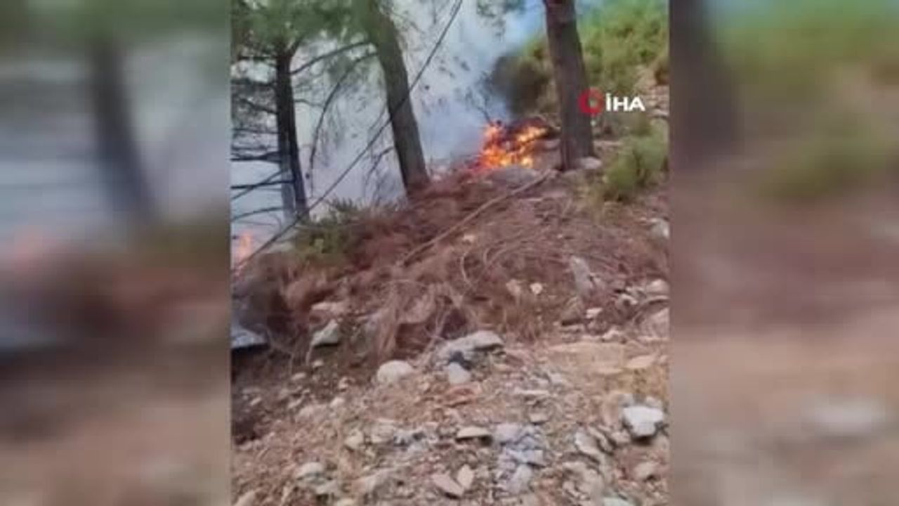 Yağışlı Alanya’da yıldırım ormanlık alanı ateşe verdi: 1 dönüm zarar gördü