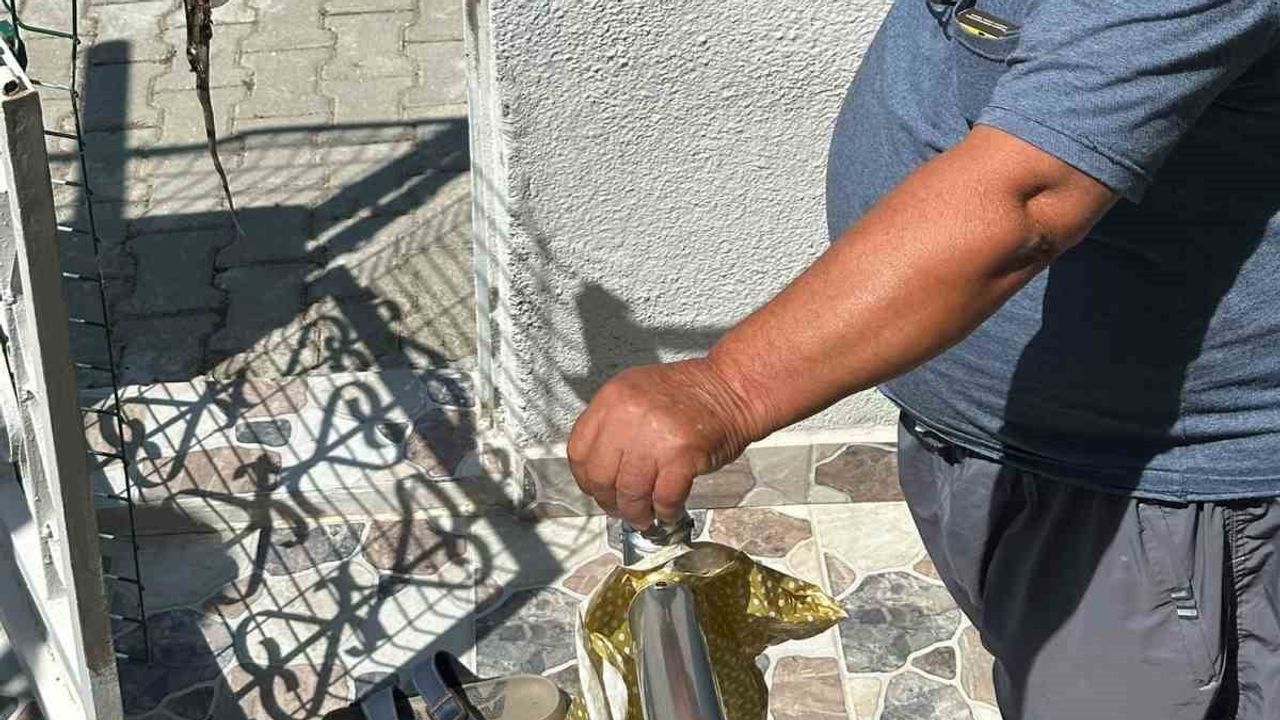 Yakamoz sitesinde yılan tedirginliği: çocuklar dışarı çıkamıyor