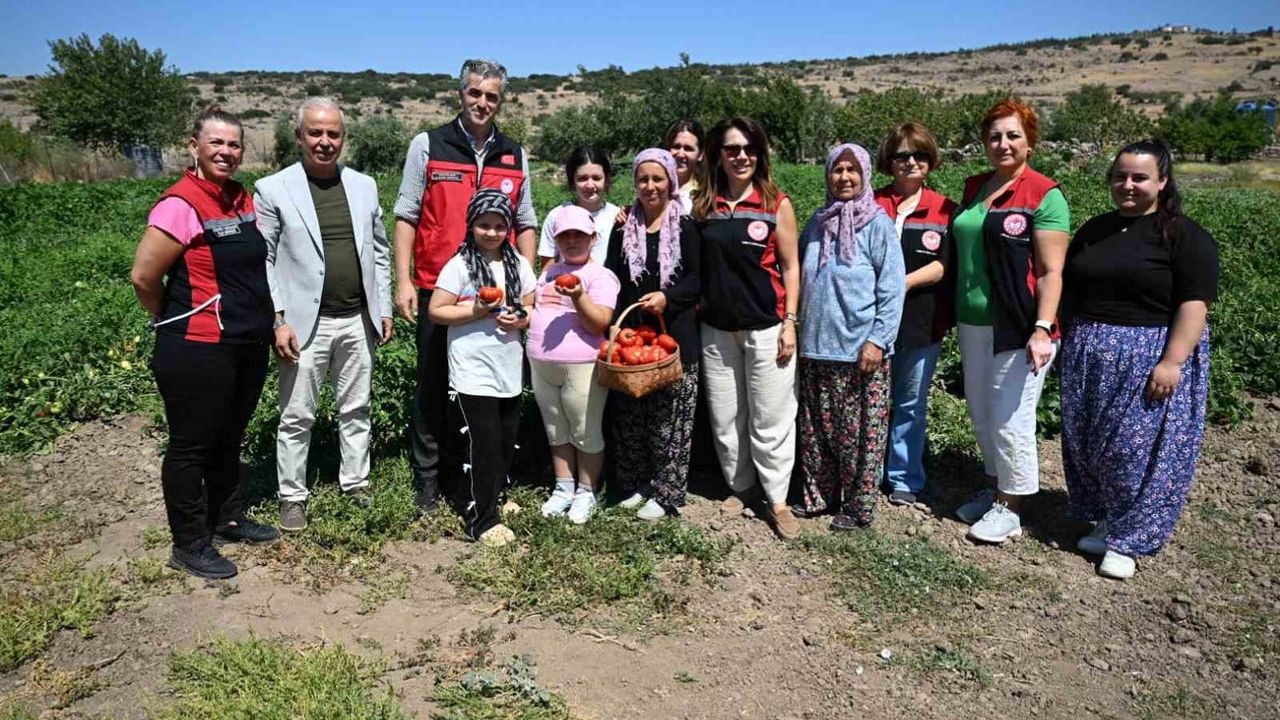 Yamanlar topraklarında domatesin geleceği konuşuldu