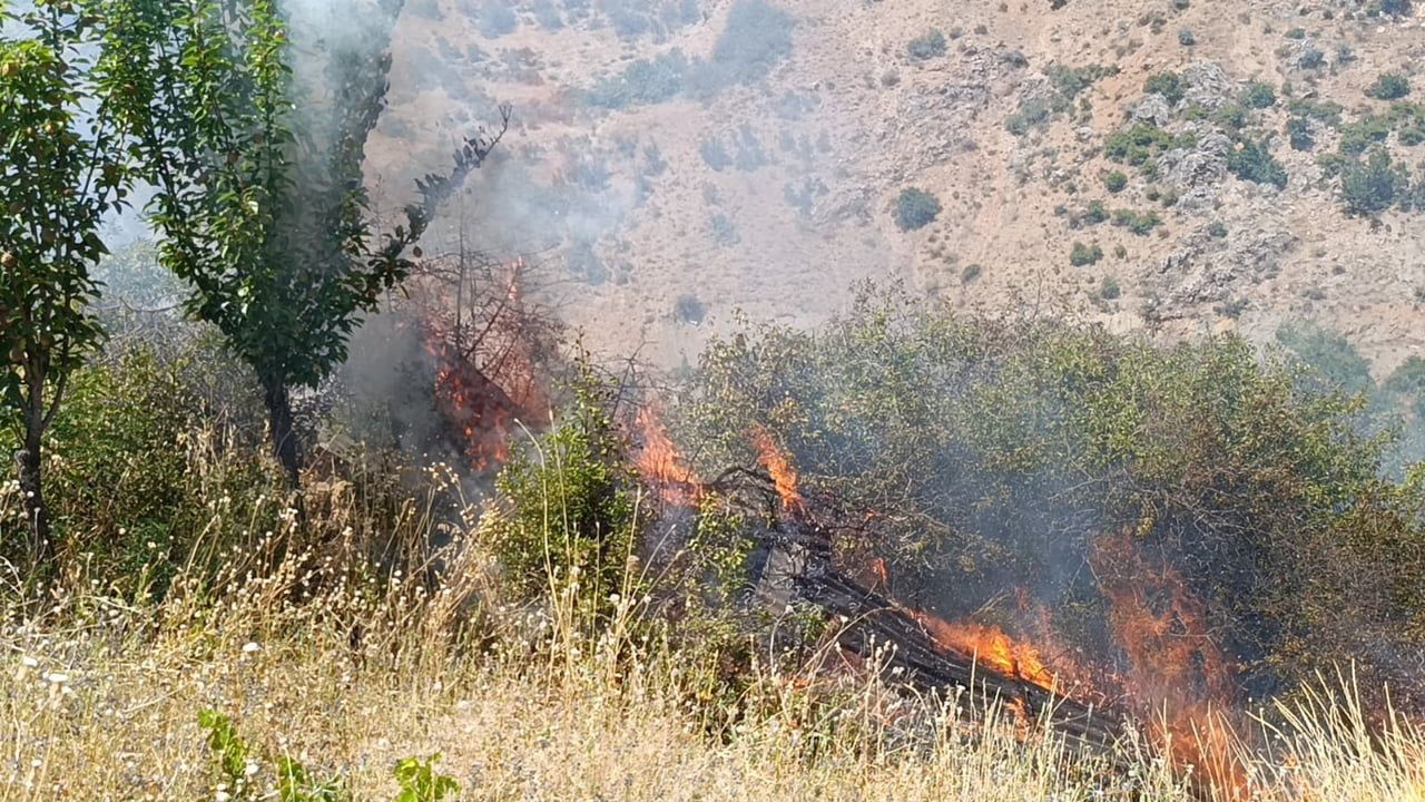 Yangın Erkenek'te meyve bahçeleri ve üzüm bağlarına zarar verdi