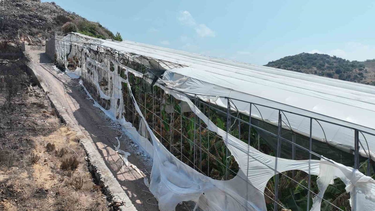Yangından etkilenen üreticilere 24 bin 100 metrekare sera naylonu desteği