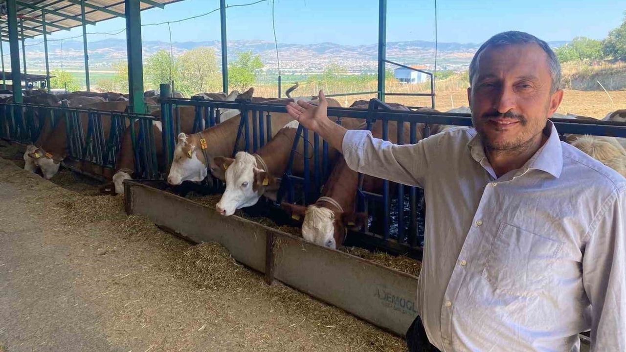 Yapay zekâ ve çip teknolojisiyle Bursa'da Avrupa standartlarında süt üretimi