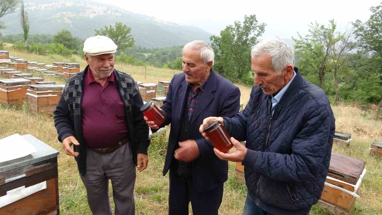 Yapay zekayla kovanları izleyen arıcı verim ve kaliteyi yükseltiyor