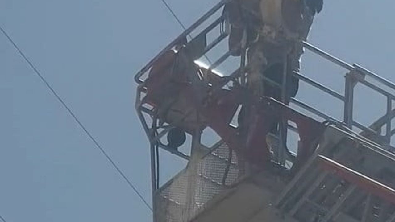 Yaralı leylek Seydili köyünde itfaiye merdiveniyle yuvasından indirildi