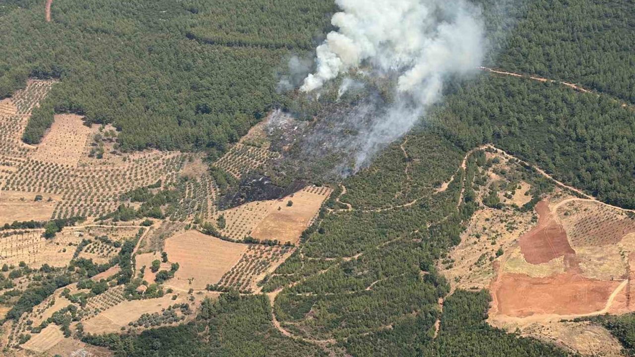 Yatağan’da tarla yangını ormana sıçradı, müdahale sürüyor