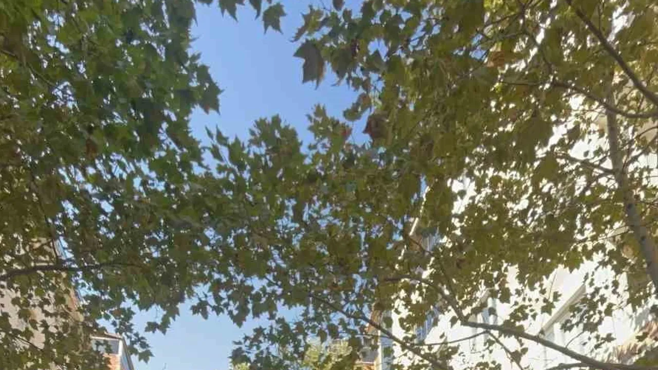 Yaya geçidinde yaşlı adama çarpan sürücünün tepki çeken sözleri