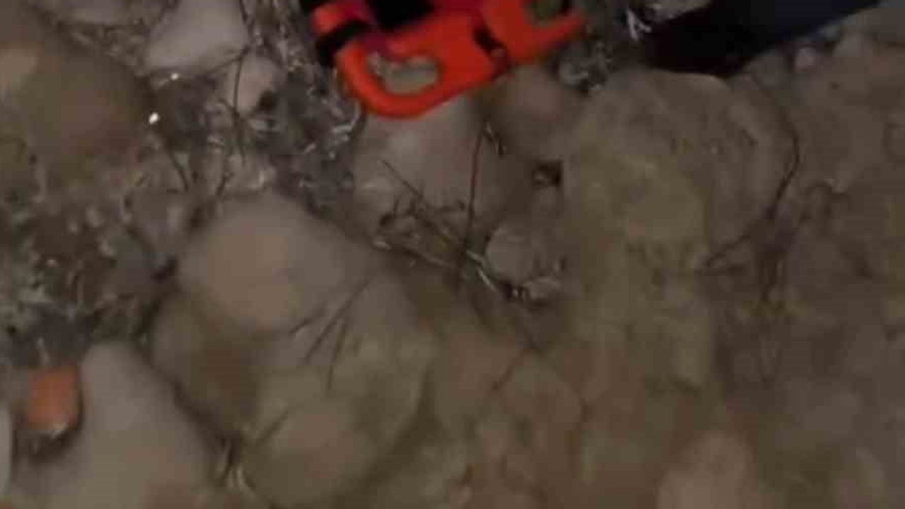 Yayla Sahili'nde korkuluklar yerinden çıktı: genç kadın kayalıklara düştü
