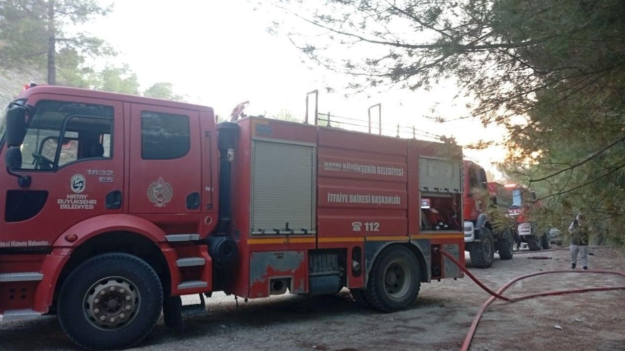 Yayladağı baraj bölgesinde alevler hızlı müdahale ile sınırlı kaldı