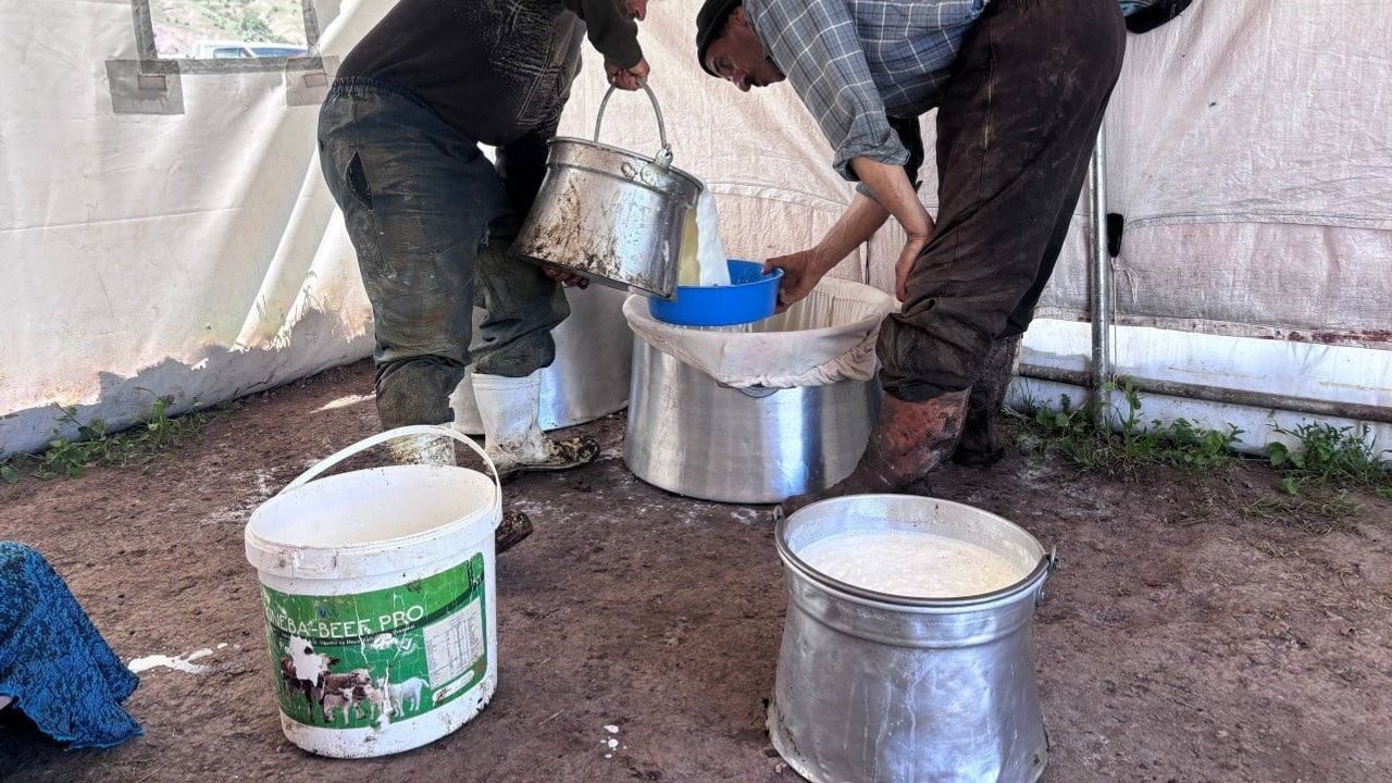 Yayladan sofraya: Erzincan tulum peynirinin emekle gelen yolculuğu