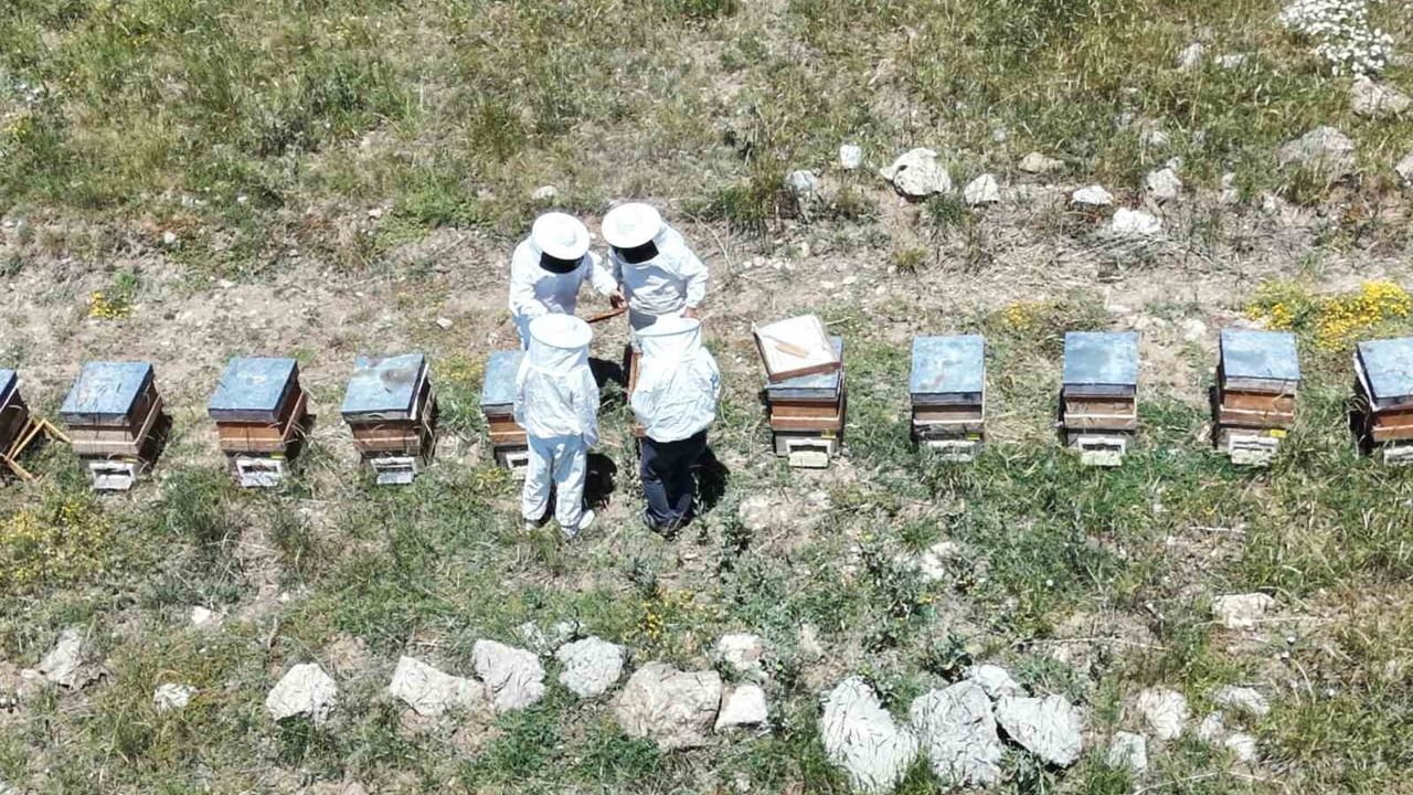 Yaylalardan kavanoza: Erzincan arıcılarının hasat bekleyişi
