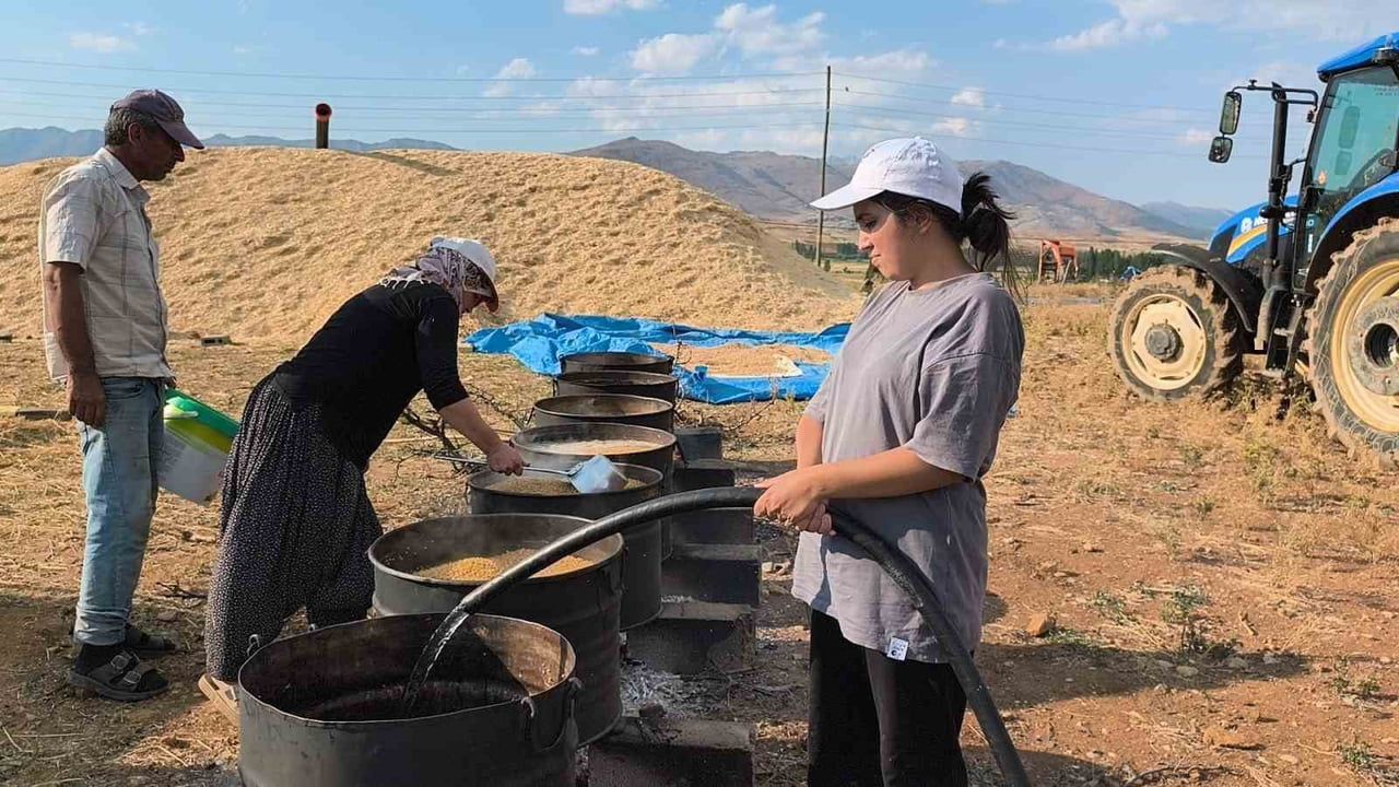 Yaz molasında tarlada: hukuk ve ebelik öğrencileri aile üretimini sürdürüyor