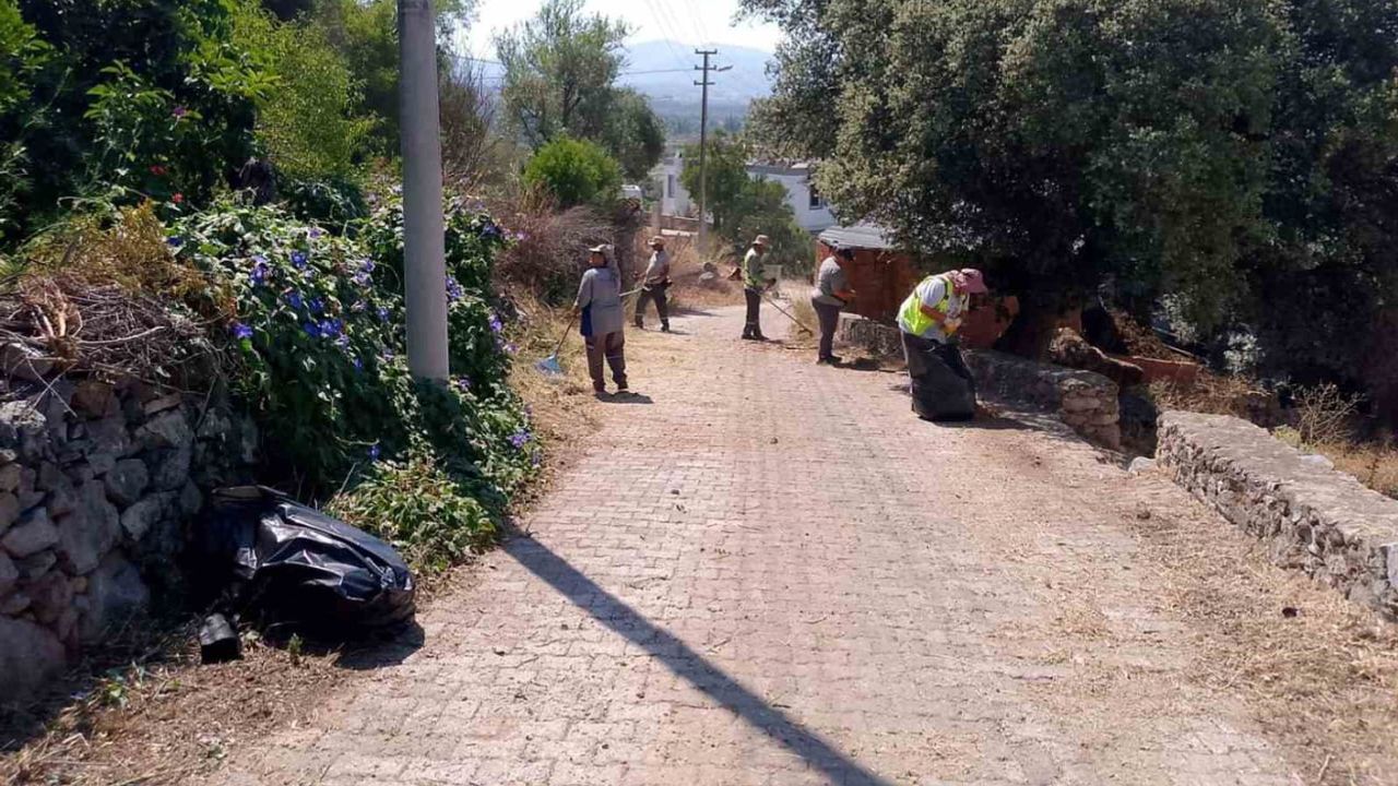 Yaz sezonunda Bodrum genelinde kapsamlı ot temizliği