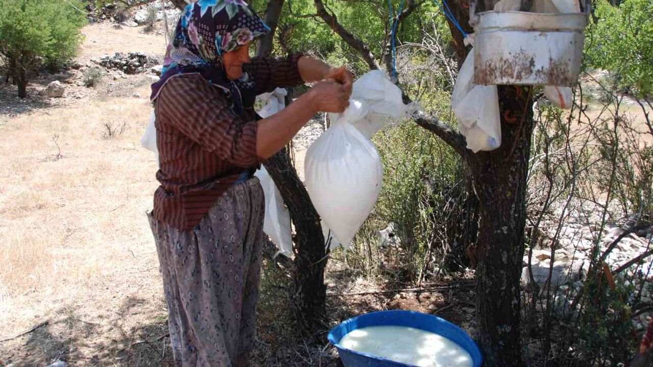Yazın karın içinde olgunlaşan peynir: Akseki yörüklerinin asırlık soğutma geleneği