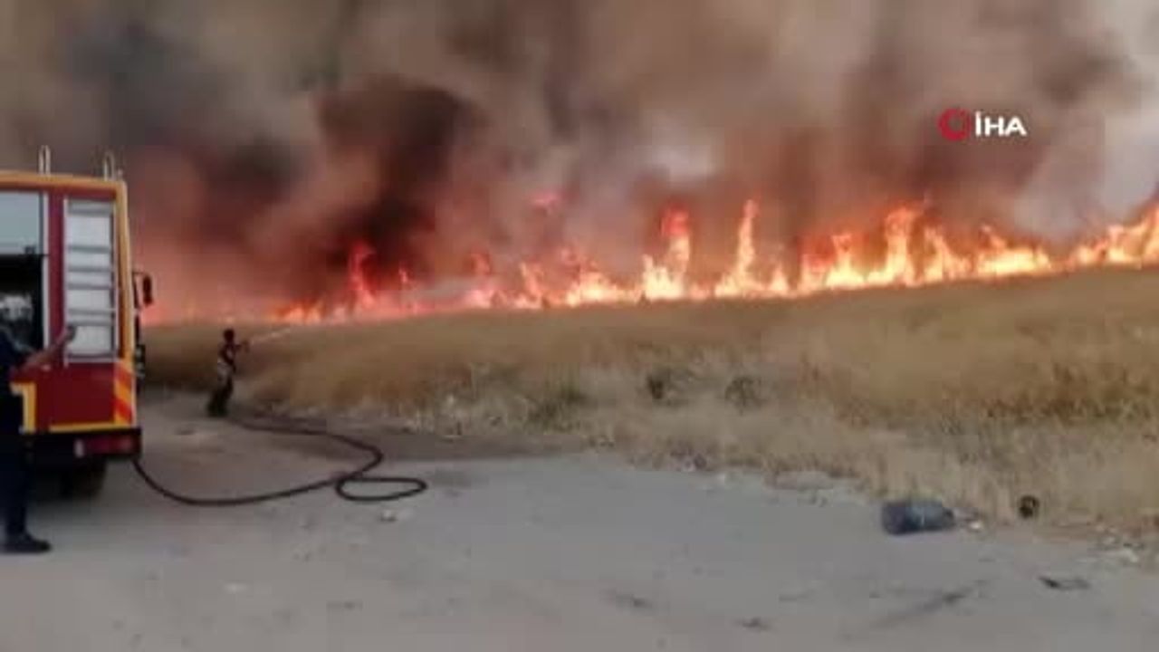 Yenikent'te otluk alanında yangın, ekiplerin müdahalesi sürüyor