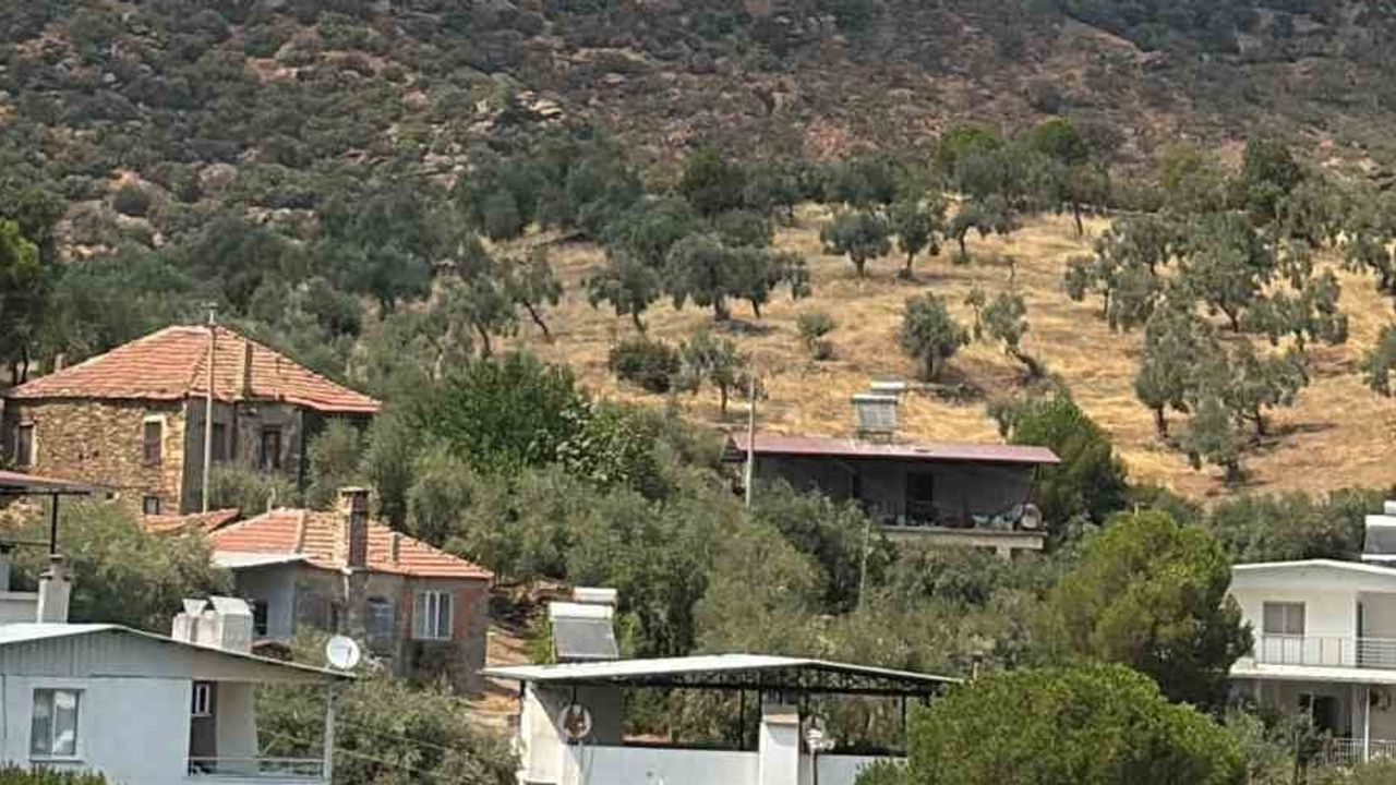 Yeniköy'de orman alevleri: Çine'de ekipler karadan ve havadan müdahale ediyor