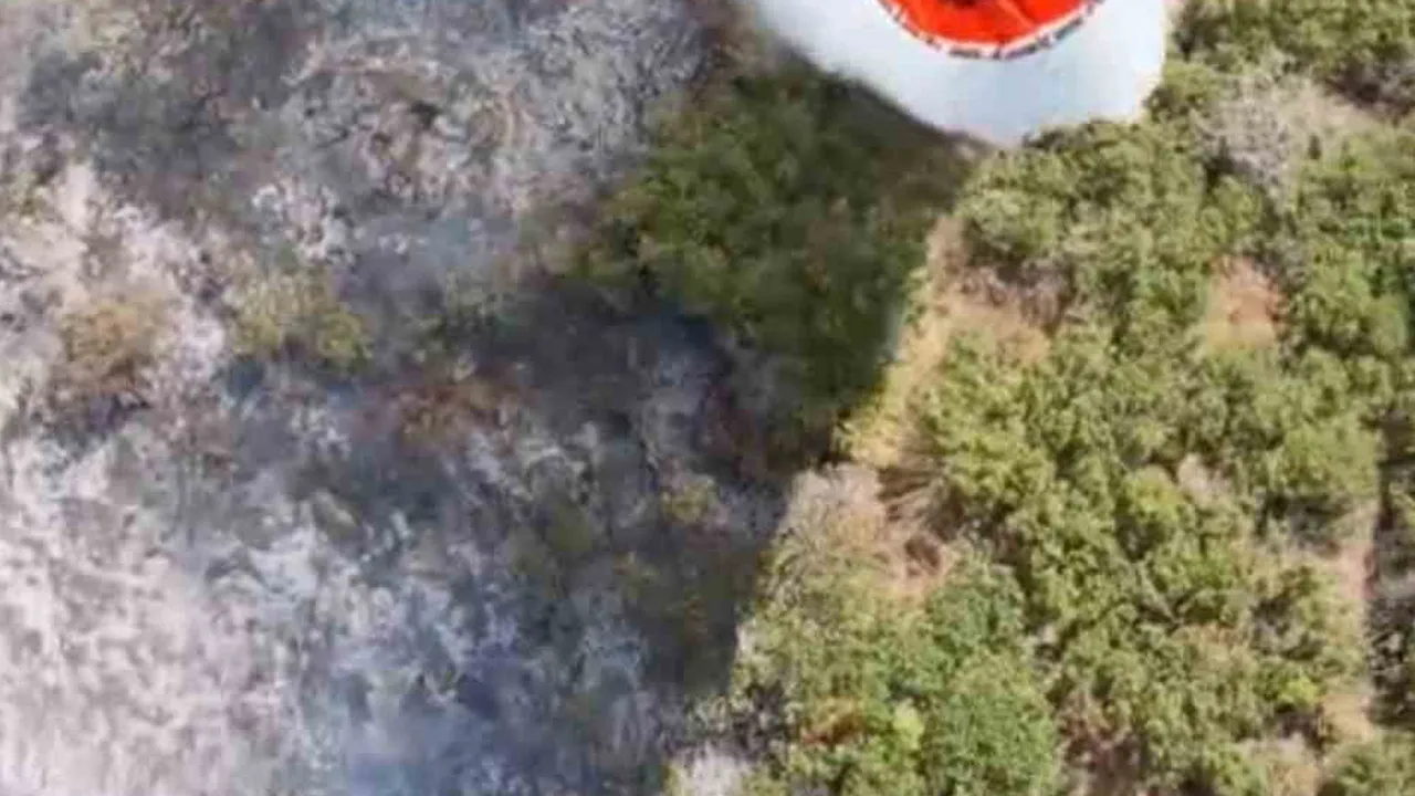 Yeniköy'de orman yangını yoğun müdahale sonrası kontrol altına alındı
