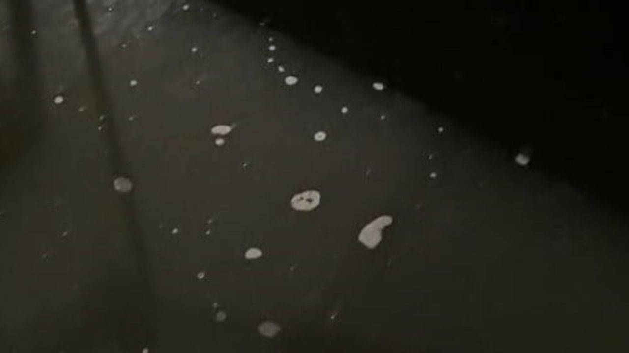 Yeşilköy balıkçı barınağından denize kaçak atık su boşaltımı görüntülendi